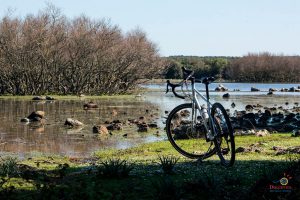 Bike tour al Parco della Giara